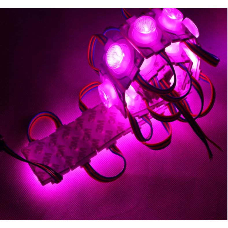 RGB 4) 20pcs Single Lamp RGB Led Module Waterproof 3led / Strip DC 12V Car Signage Motorcycle Decor